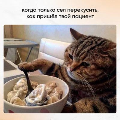Мем